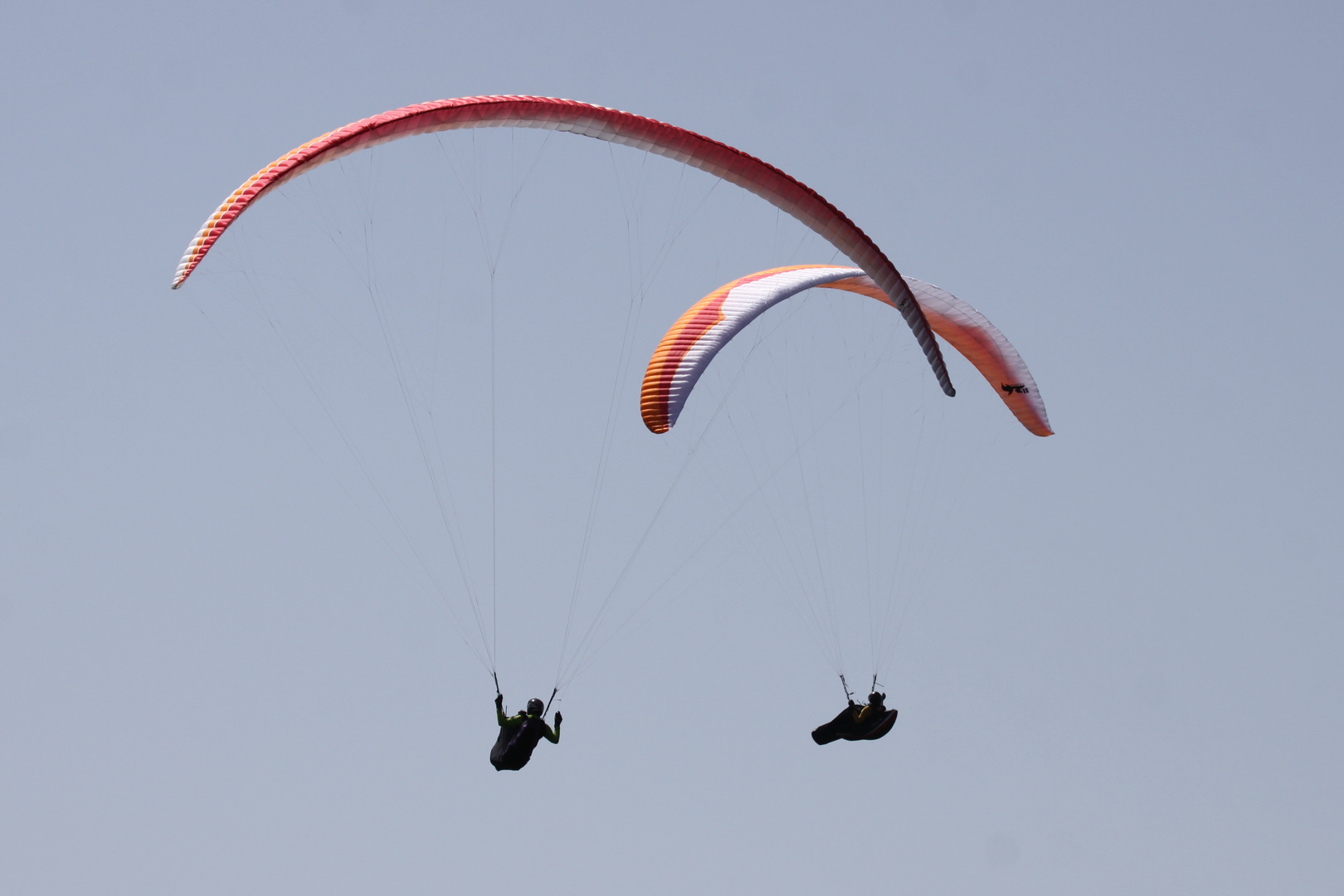 Vogesen, Südausläufer, Drachenflieger am Rothenbachkopf ##2