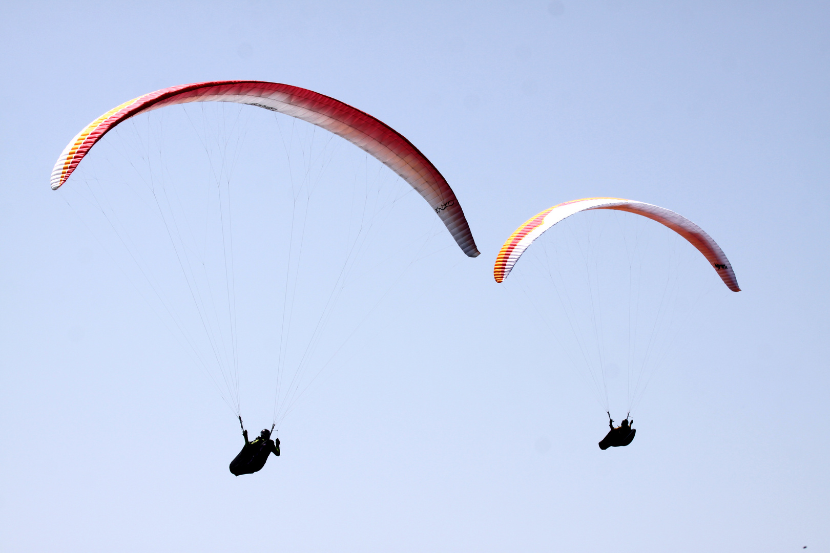 Vogesen, Südausläufer, Drachenflieger am Rothenbachkopf ##3