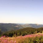 Vogesen, Südausläufer, Sicht vom Grand Ballon