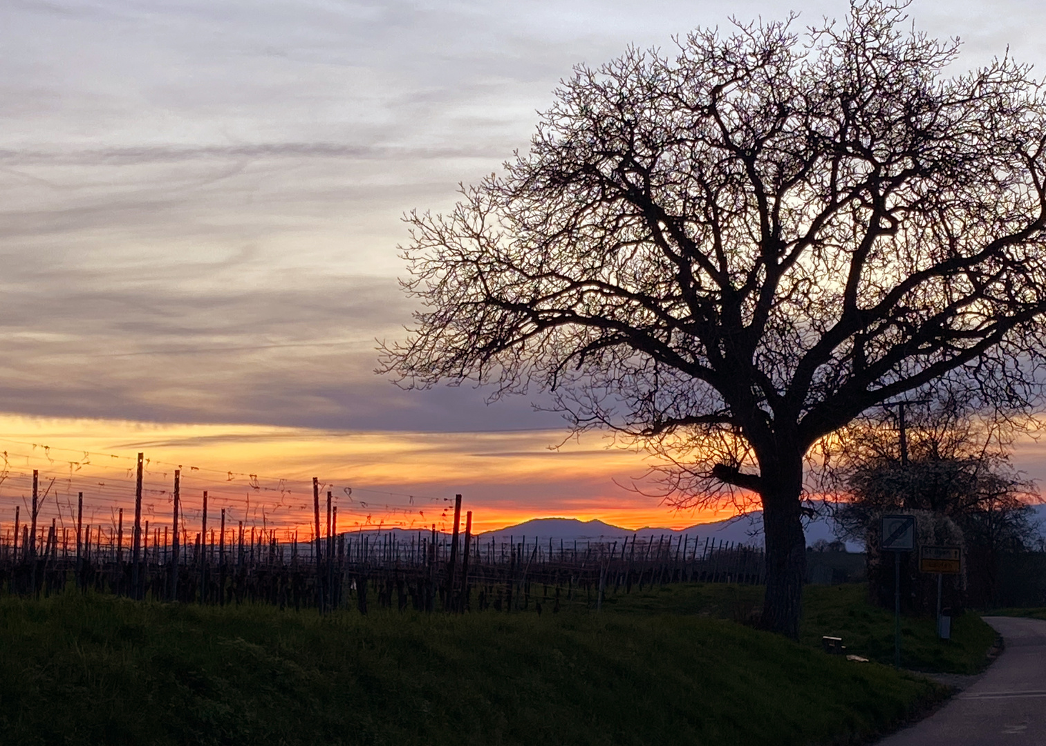 Vogesenblick am Abend