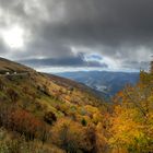 Vogesenherbst