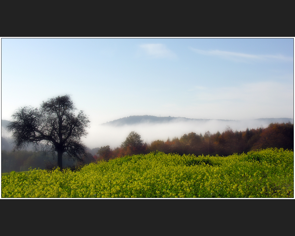 Vogesenherbst II