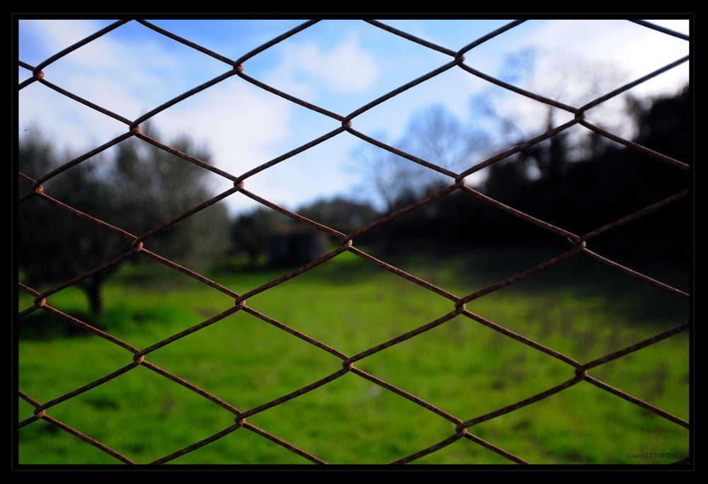 voglia di ......liberta'....