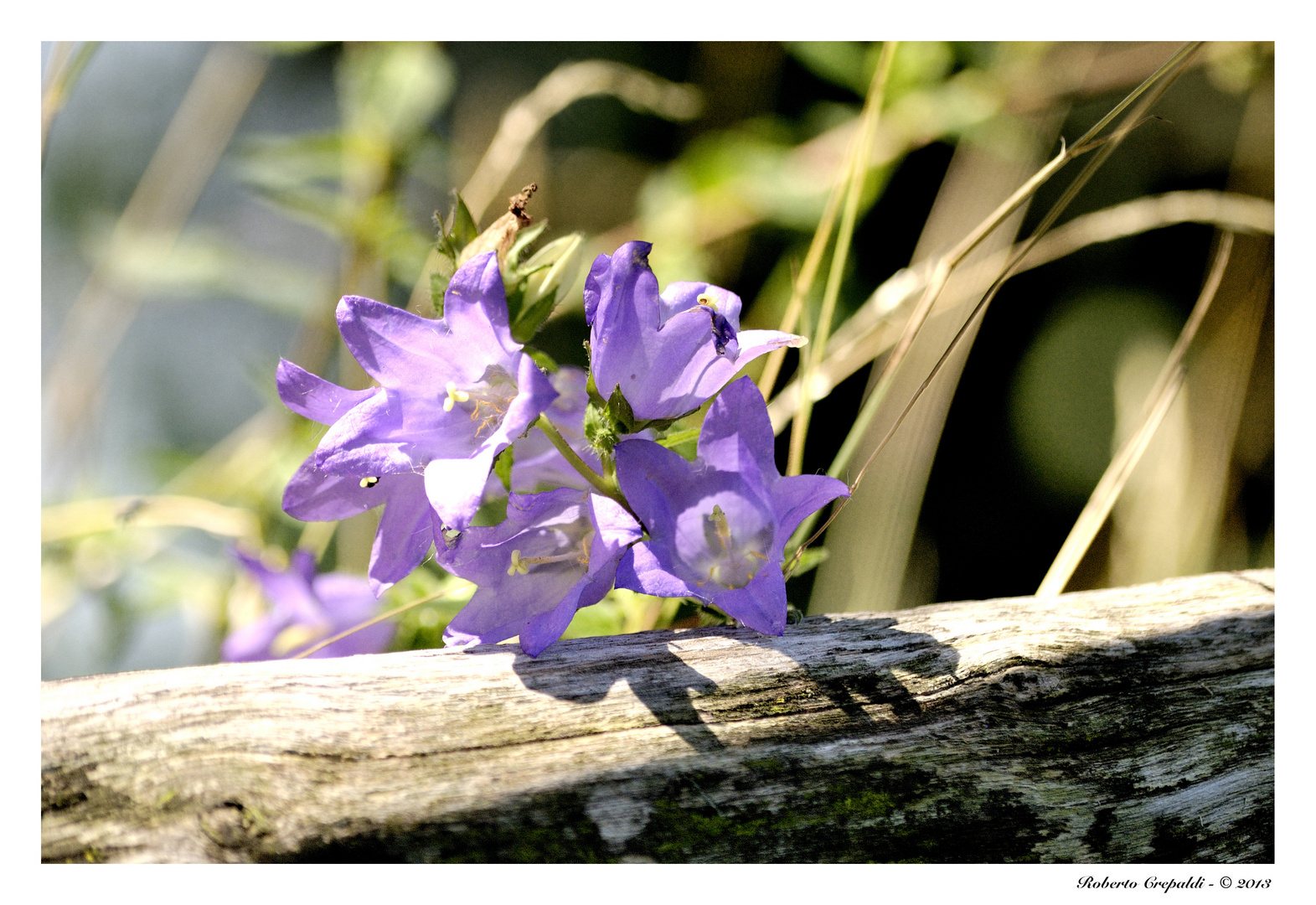 Voglia di primavera