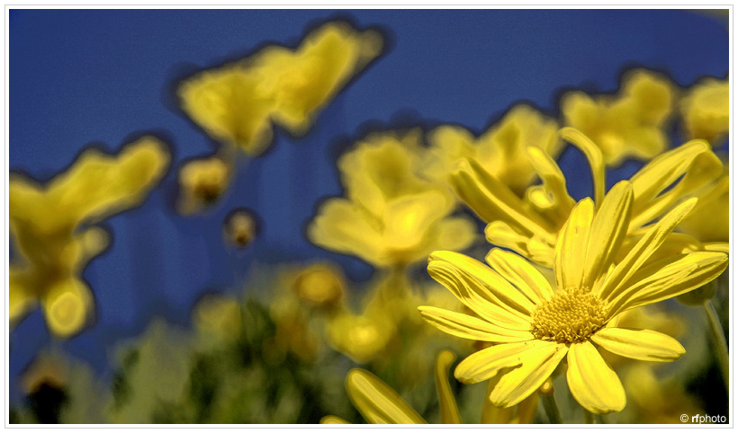 Voglia di primavera