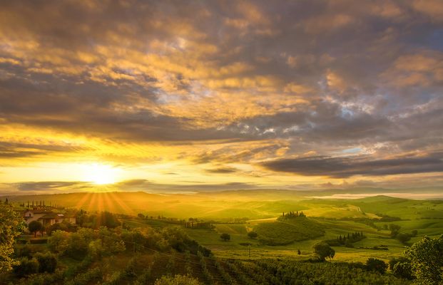~ Voglia di Toscana ~