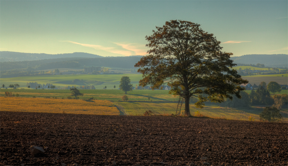 Vogtland bei Rodewisch