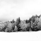 Vogtland in b&w