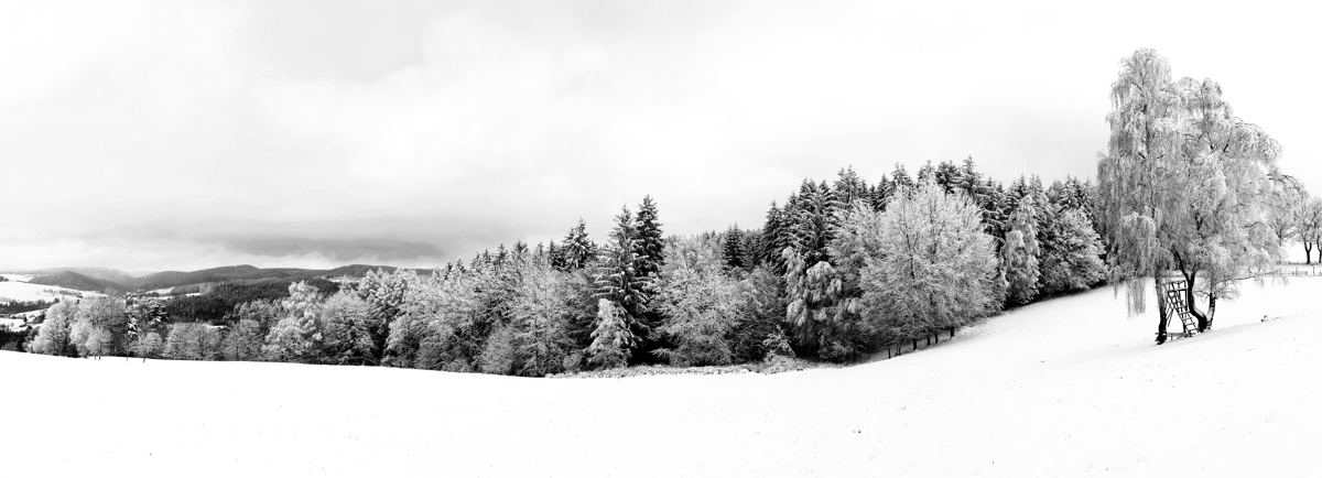 Vogtland in b&w