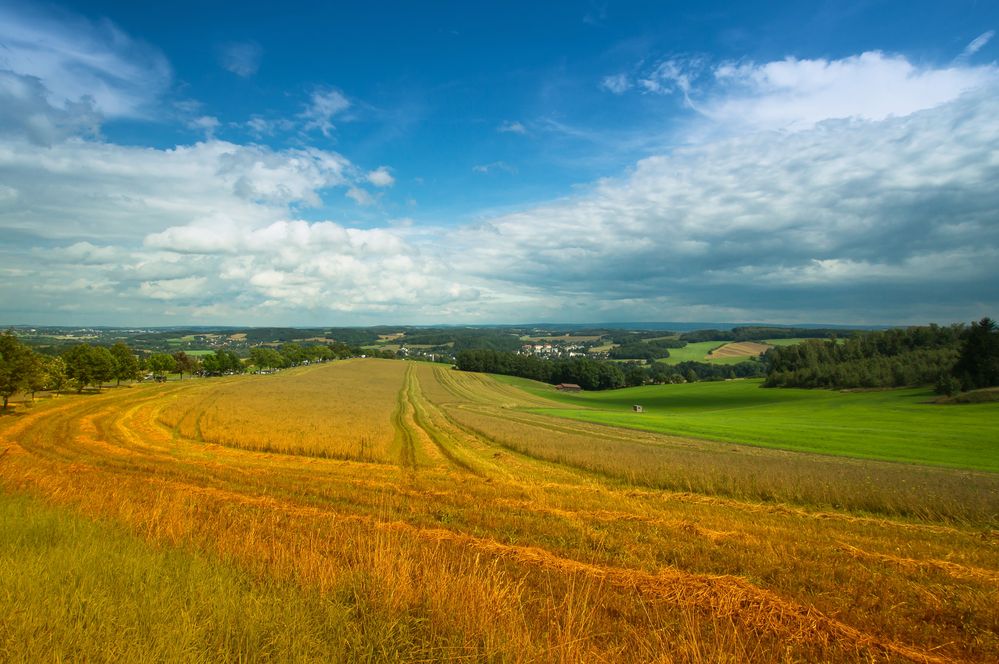 Vogtlandblick von der Schwander Höhe