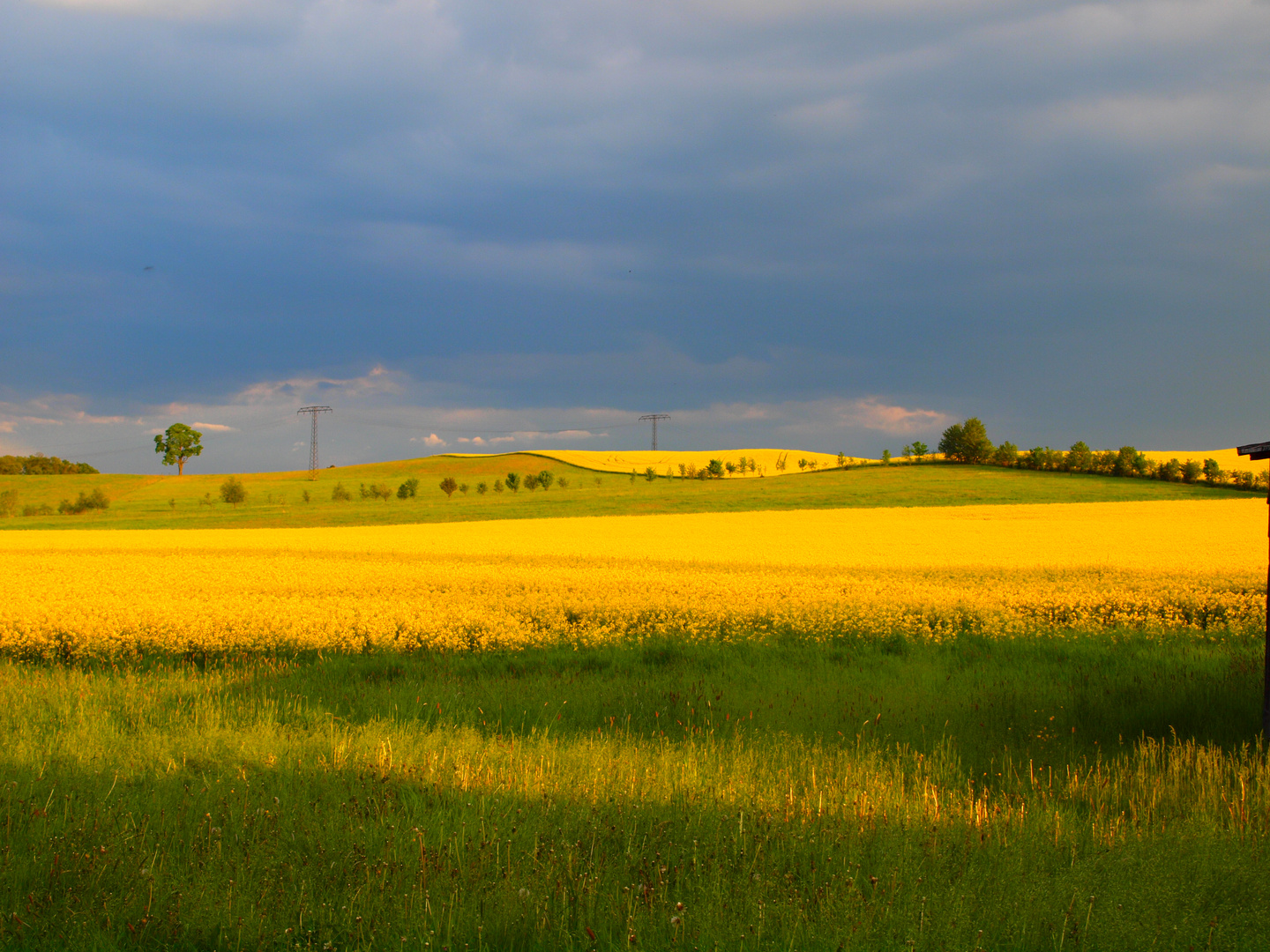 Vogtlands Farben