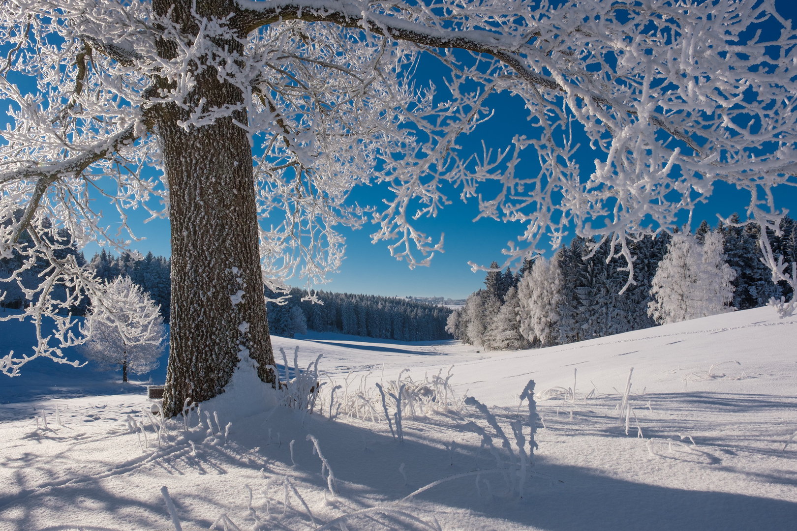  - Vogtlandwinter - 