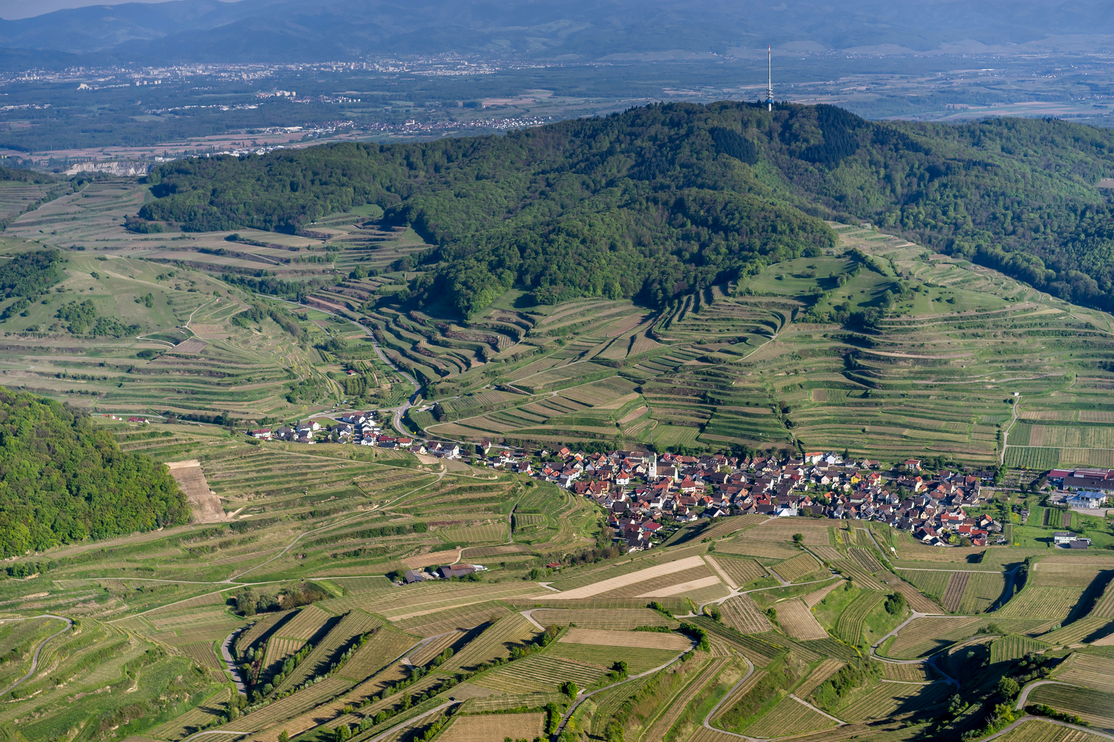 Vogtsburg (Oberbergen) am Kaiserstuhl 