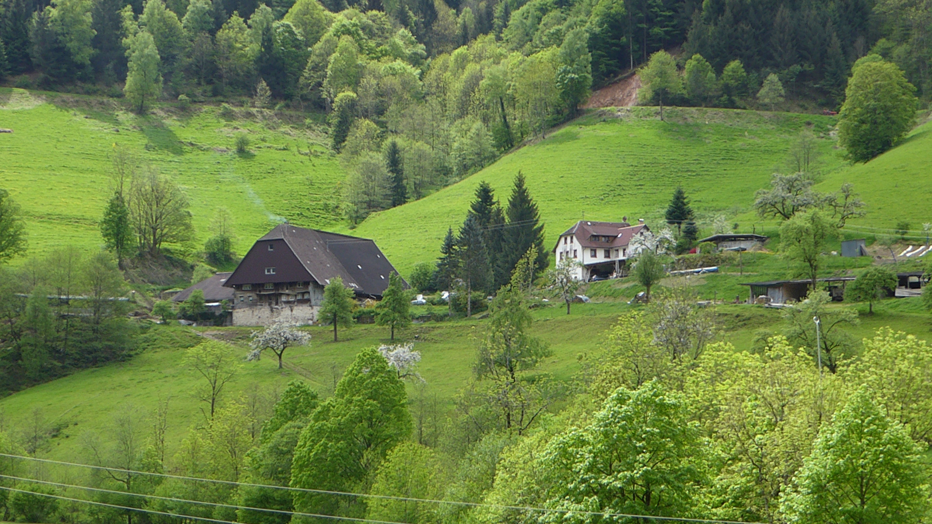 Vogtshof in Obersimonswald