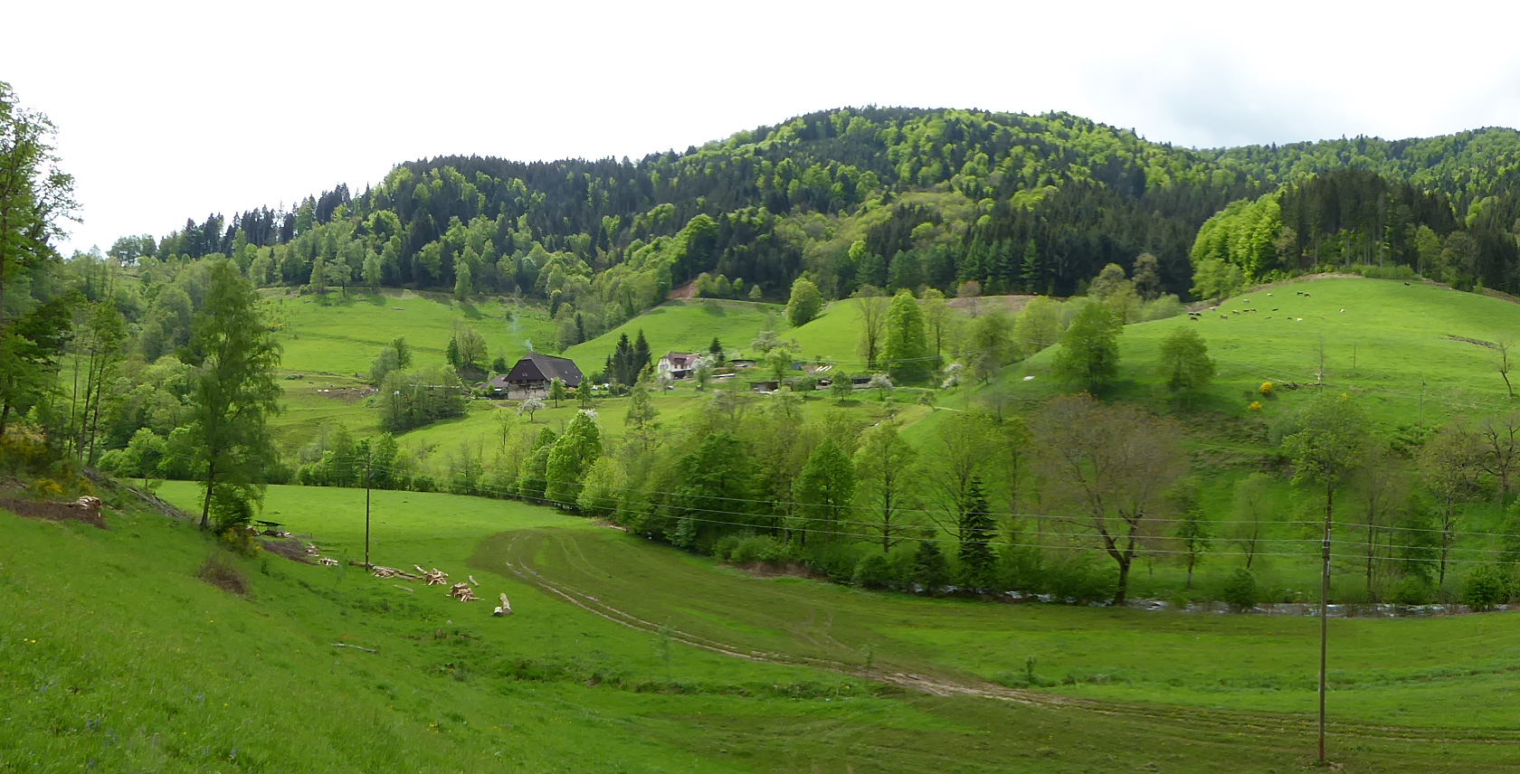 Vogtshof in Obersimonswald