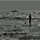 voguer librement sur une mer argentée  ....