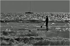 voguer librement sur une mer argentée  ....