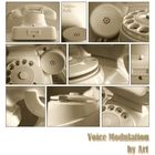Voice Modulation / W49