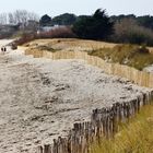 Voici l'endroit où la dune a été renforcée