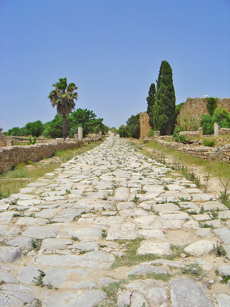 Voie Romaine à Carthage