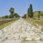 Voie Romaine à Carthage