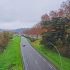 Voie "verte" sur berge à Agen