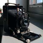 Voigtländer Bergheil 6,5x9