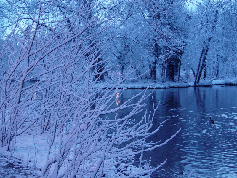 voila la petite île sous la neige