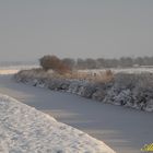 Voile sur les marais