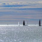 voiles