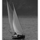 voiles 5