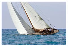 Voiles d'Antibes 2010: Halloween