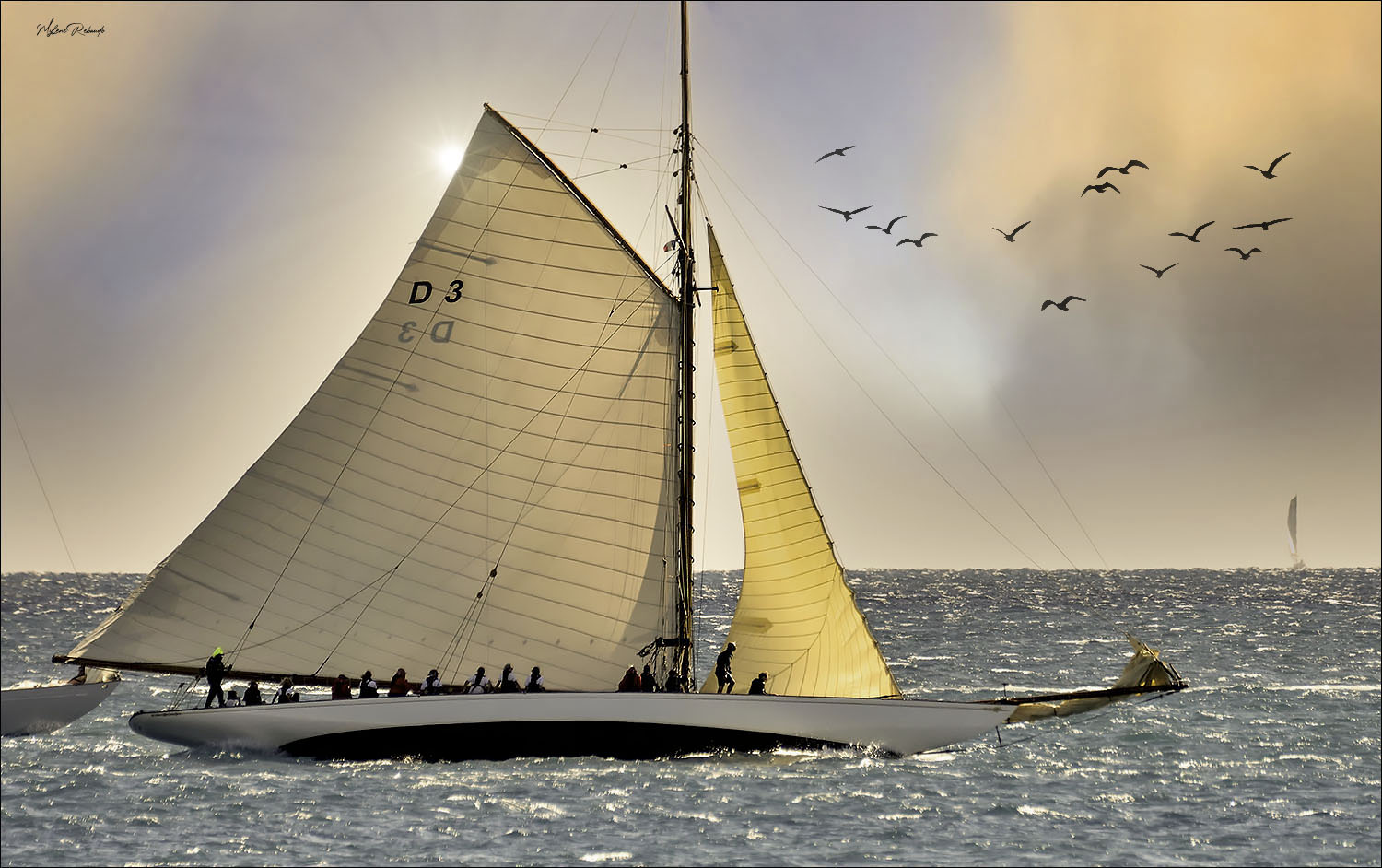 Voiles d'Antibes