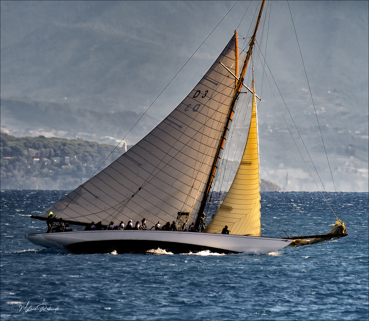 Voiles d'Antibes