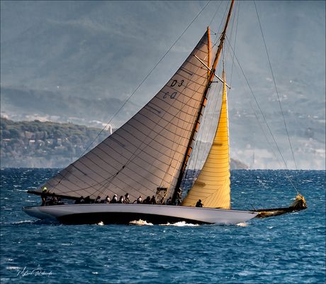Voiles d'Antibes
