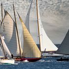 Voiles d'Antibes