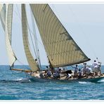 Voiles d'Antibes: Mariska