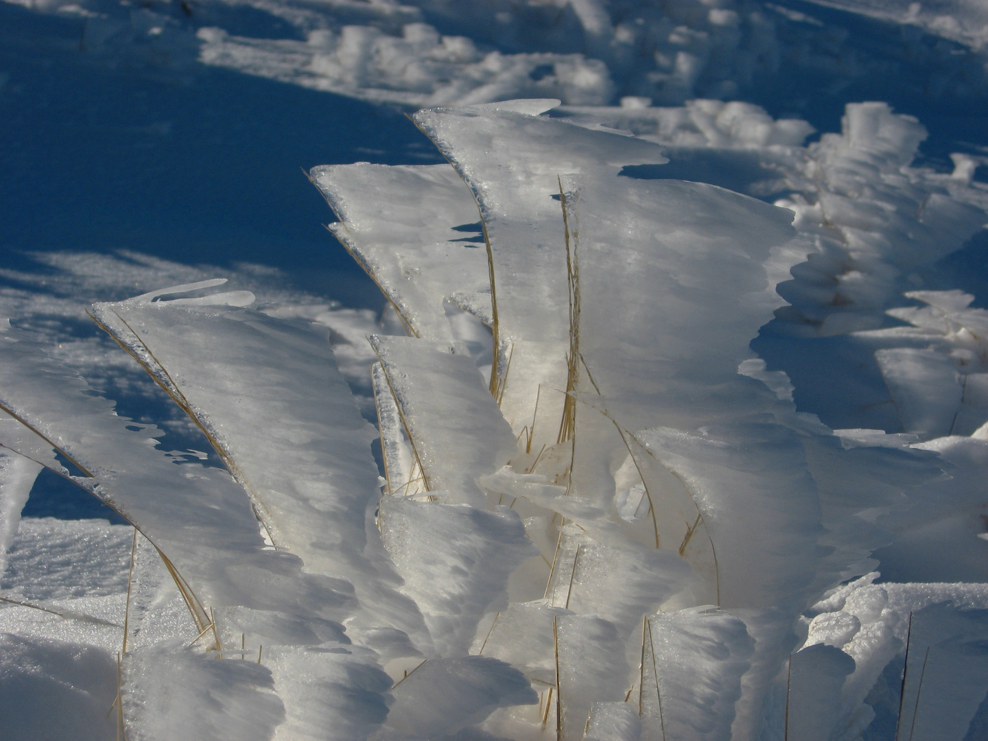 voiles de glace