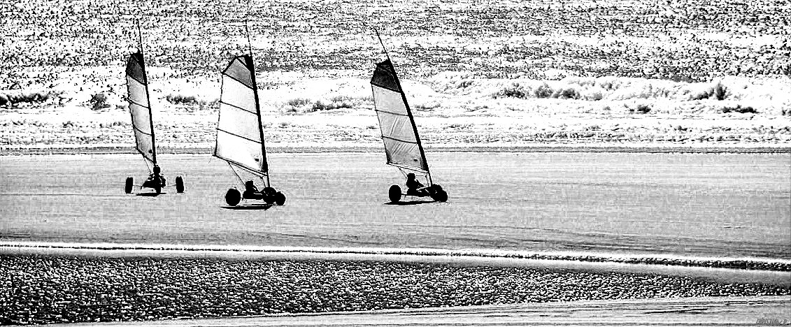 Voiles de la marée...