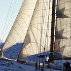 Voiles de St. Tropez