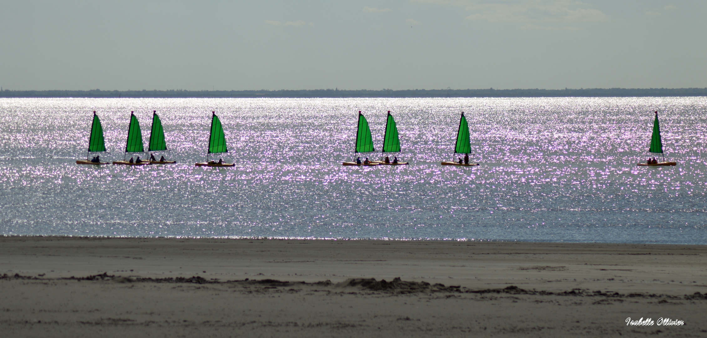 Voiles verte de sortie