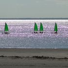 Voiles verte de sortie