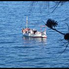 voilier dans les criques de port vendre