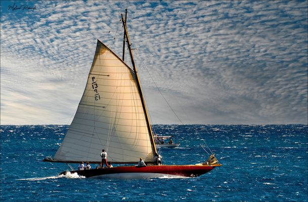 Voiliers d'Antibes
