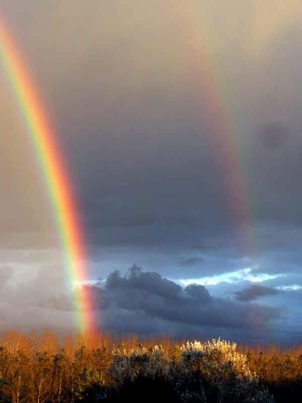 VOIR DOUBLE AVANT LA TEMPETE