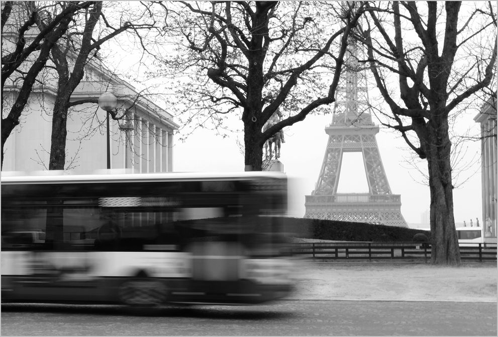 voir la Tour Eiffel III