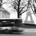 voir la Tour Eiffel III