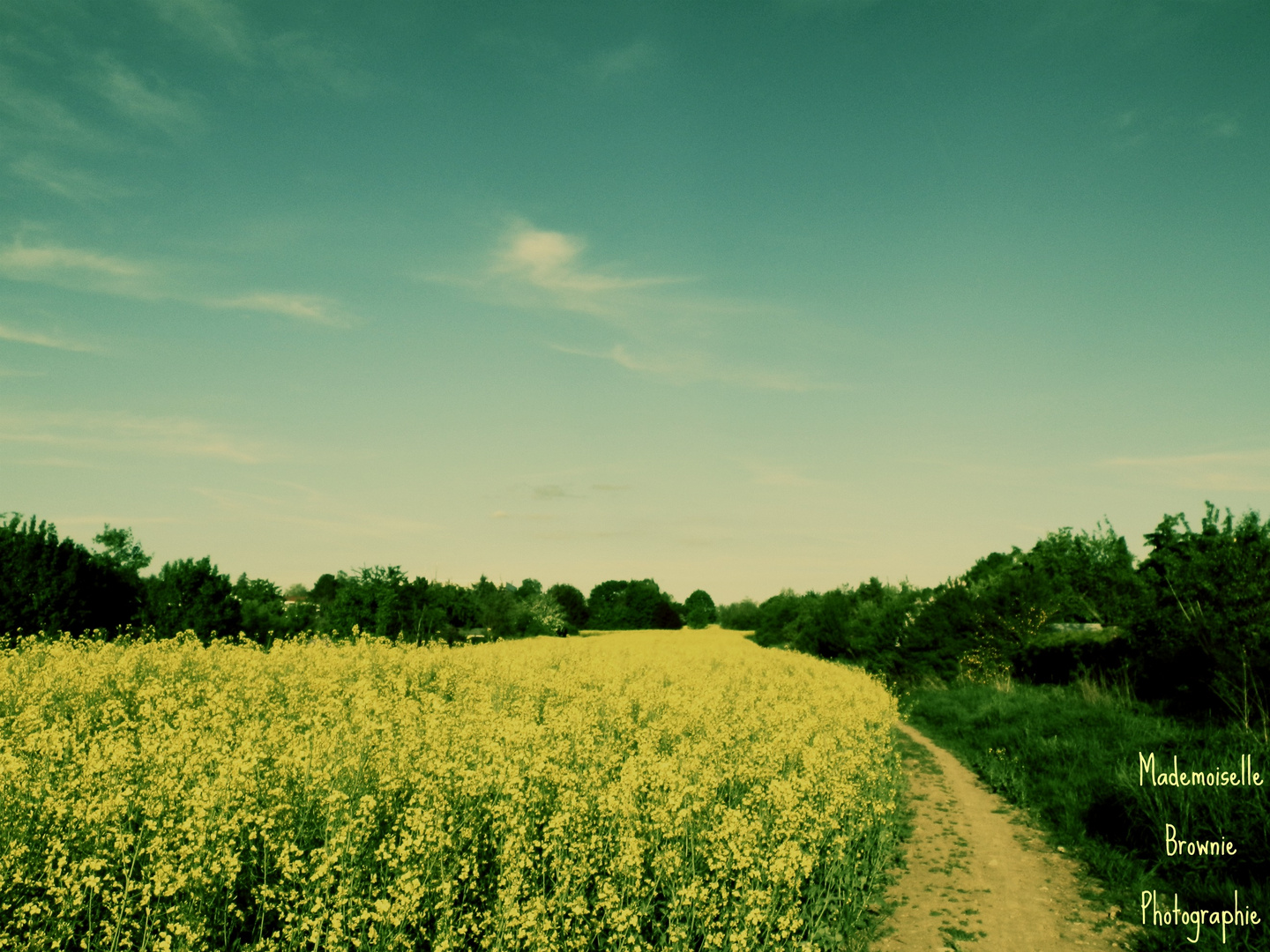 Vois sur ton chemin!