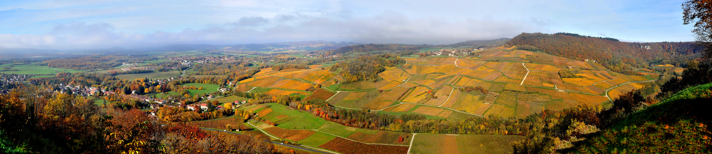 Voiteur et les vignes depuis  Château Chalon.