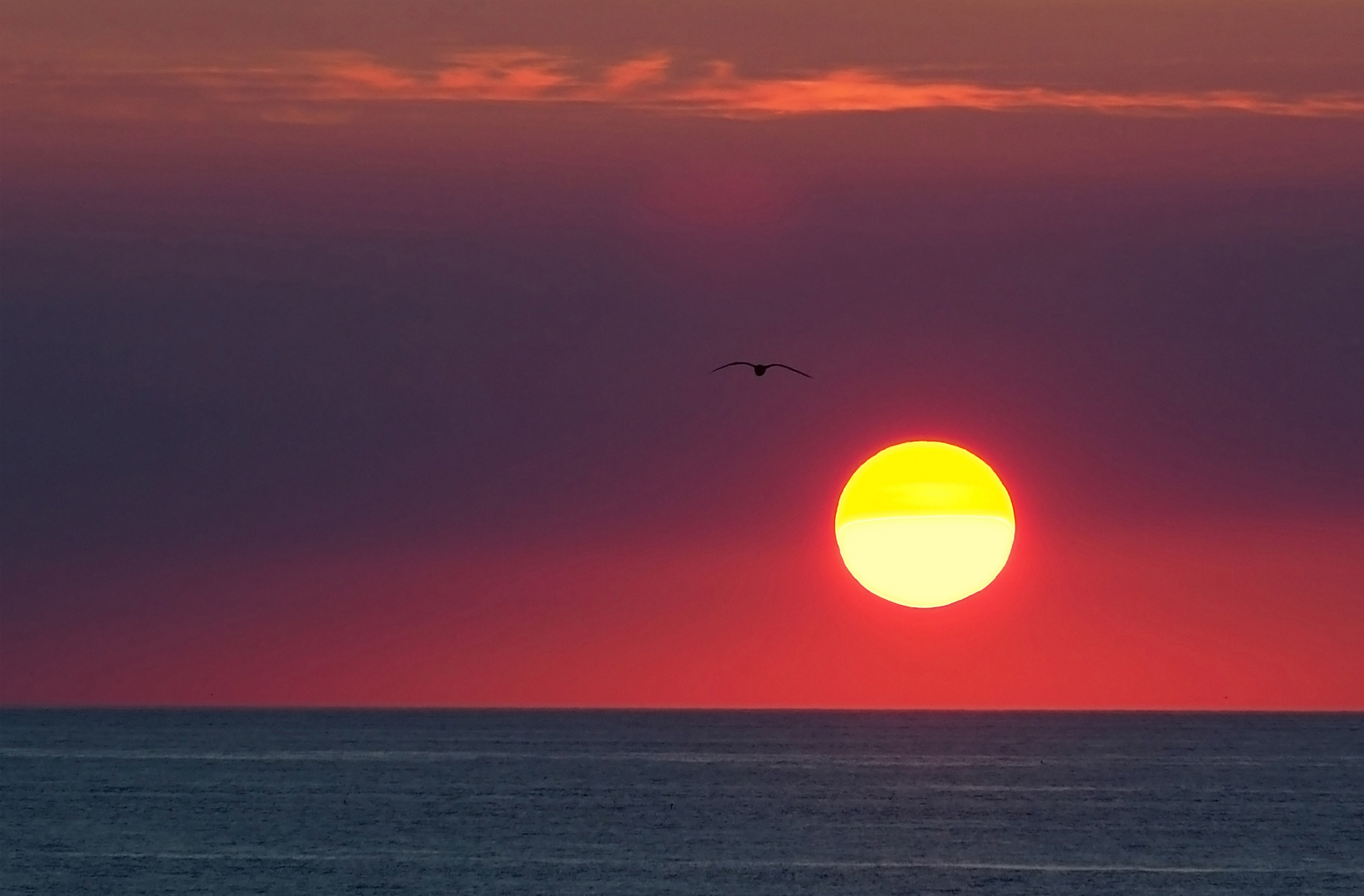 Vol au coucher du soleil